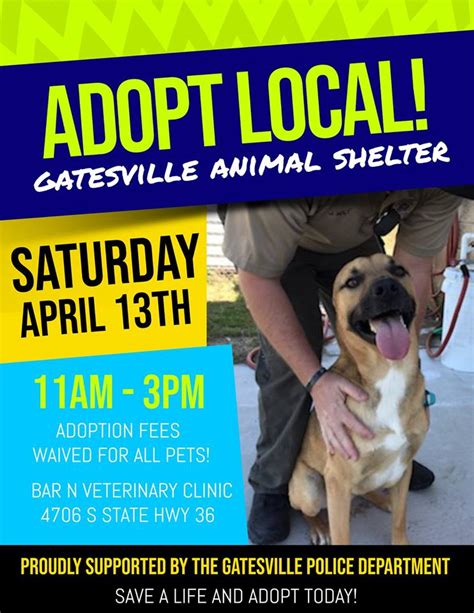 animal shelter gatesville tx|adopt a pet gatesville tx.